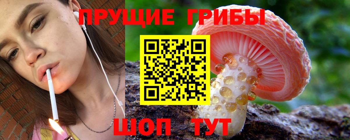 Борисоглебск  Псилоцибиновые грибы мицелий  Вход с VPN 